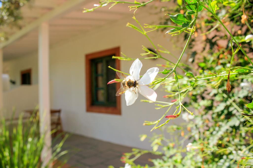 Hotel Fazendinha - Tavira - Spacious And Tranquil Zewnętrze zdjęcie